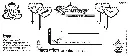 D1.webp